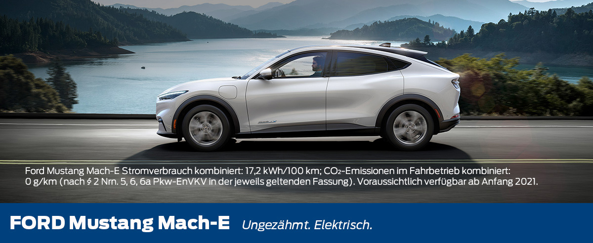 So zahlt sich Umweltschutz aus: Bis zu 9.000 € Förderung für Elektroautos!